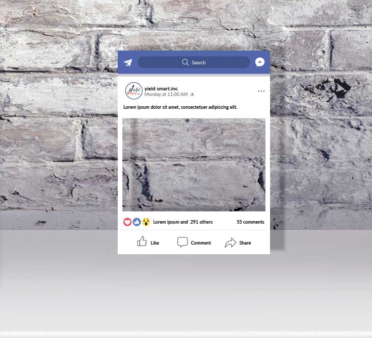FENÊTRE FACEBOOK